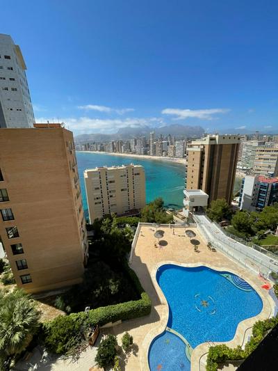 Apartamento Trinisol 11 IF Benidorm