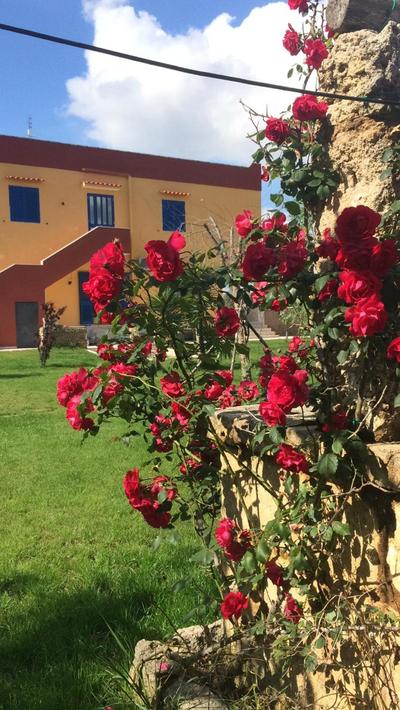 Bright Studio in Gallipoli - 30 sqm + Enclosed Garden