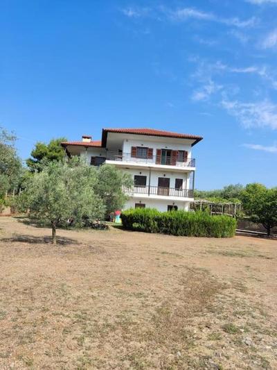 Psakoudia old olive trees appartment 50 m2, 2 bedrooms, sea view