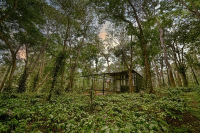 Cove by Raho - Nestled Away Retreat