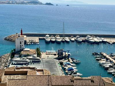 Icon Marina D