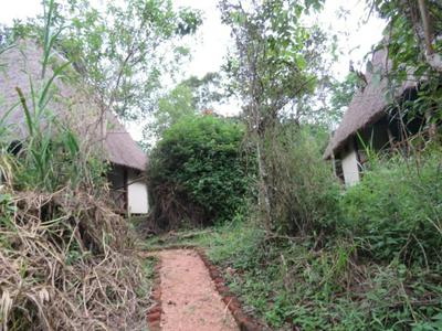 Kibale Forest Cottages And Campsite