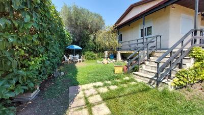 Nadina's house