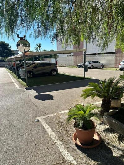 Paradise Rooms