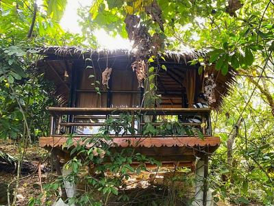 TheJungleGuide - Lodges & Treks