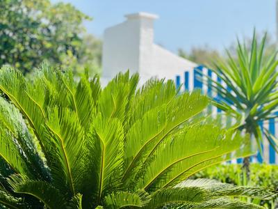 Casa Loca del mar