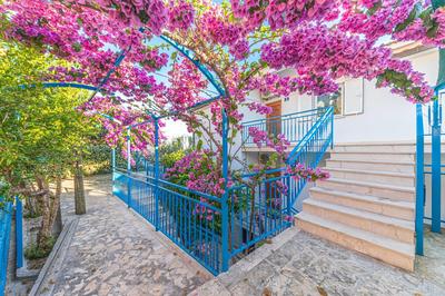Residence Summer By The Sea