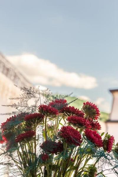 Appartamento - Cerenea House