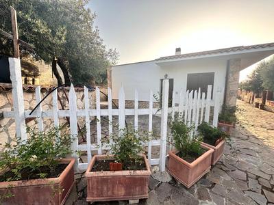 La Dimora degli ulivi