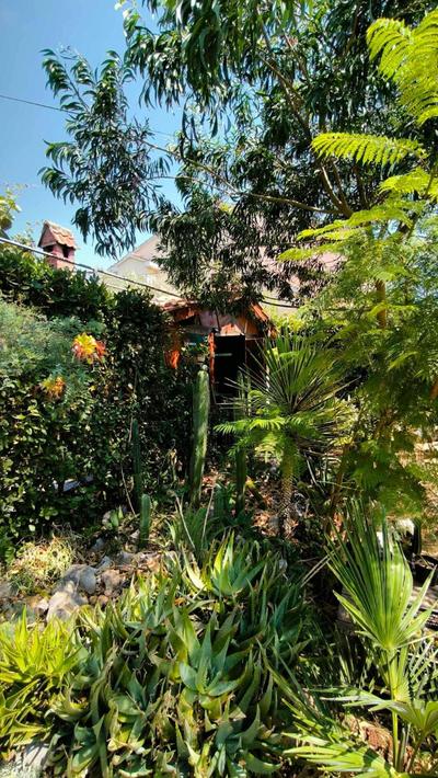 Cactus House Gašpar