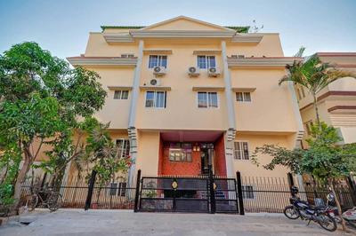 Collection O Champion Paradise