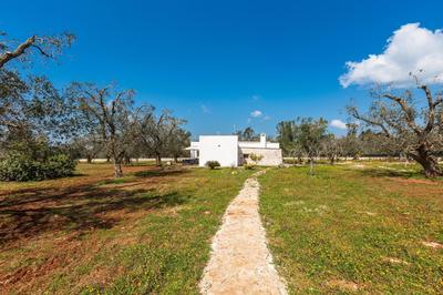 Trullo Fico by Perle di Puglia