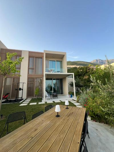 Green Coast Palase 241