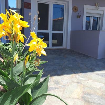 Samos Effies Waterfront aparment 2