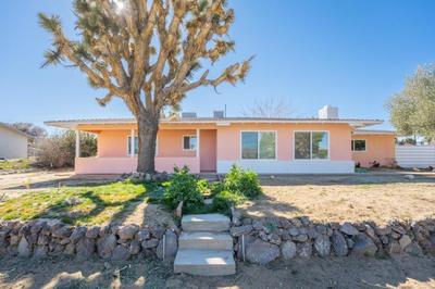Pink Disco Sauna, Hot Tub, Selfie Room, Pool,