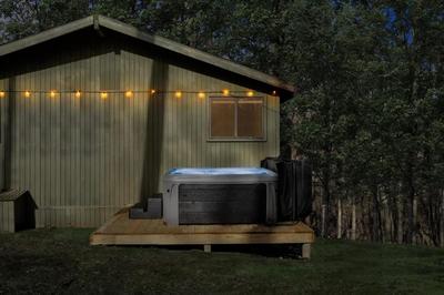Cabin w Hot Tub, Indoor Pool / Gym Access, & WiFi