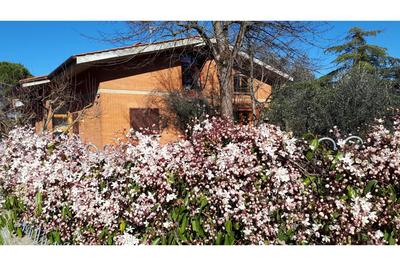 Family Friendly Villa Giulia with pool - Happy Rentals