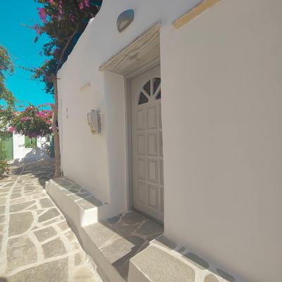 Frida' s Mansion