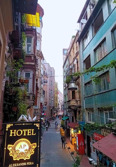 Aleksandr Pera Otel - Image 95