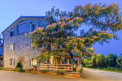 Holiday home Casa LYRA with heated pool in Novigrad 800m from the beach