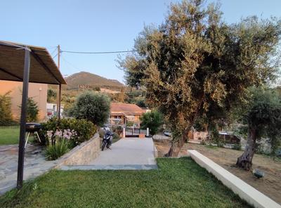 Olive Grove boutique studio