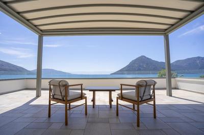 The Olive Grove Escape