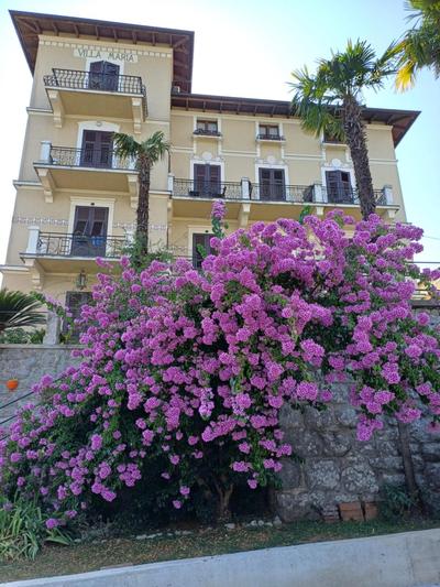 Villa Marija