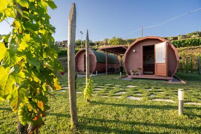 Dormire in una botte - Antiche Vigne Pironti