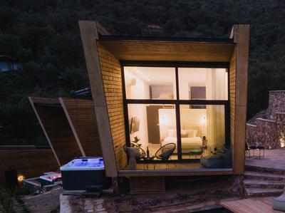 Five Olive Dream Trip