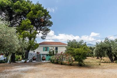 Anemoperasma - Peaceful Stay in an Olive Grove