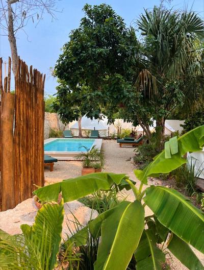 Shamalay - Nomad Experience