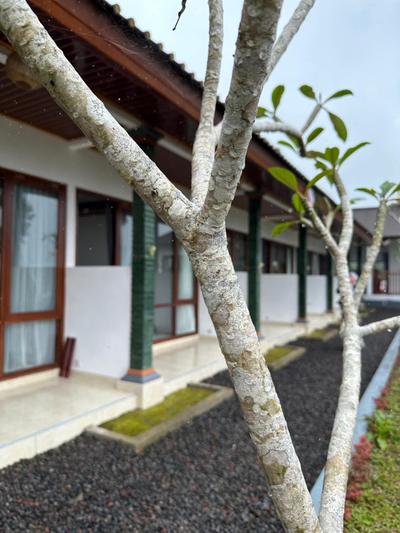 Bali Basuki Retreat Center