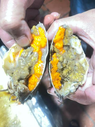 Khách sạn Mạnh Thắng