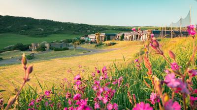Soar Mill Cove Hotel