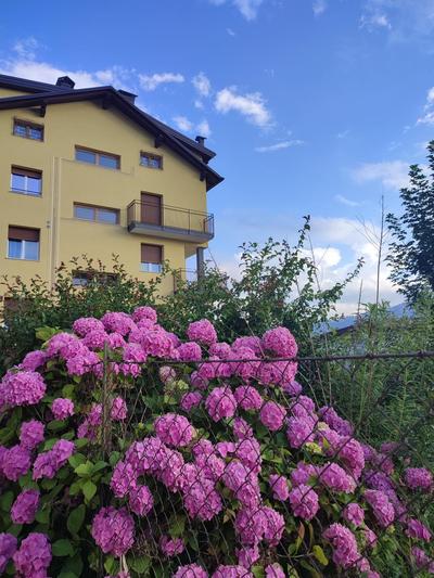 Appartamento Villa Ida
