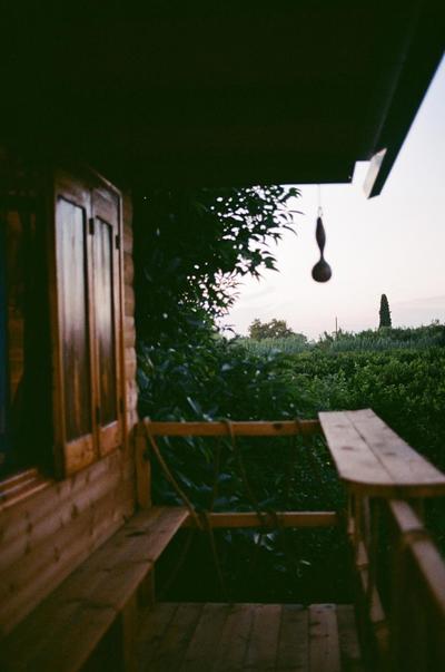 Irene's Treehouse