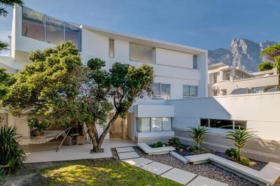 Silvertree