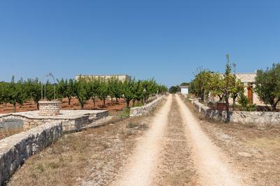 Terre di Caanthea