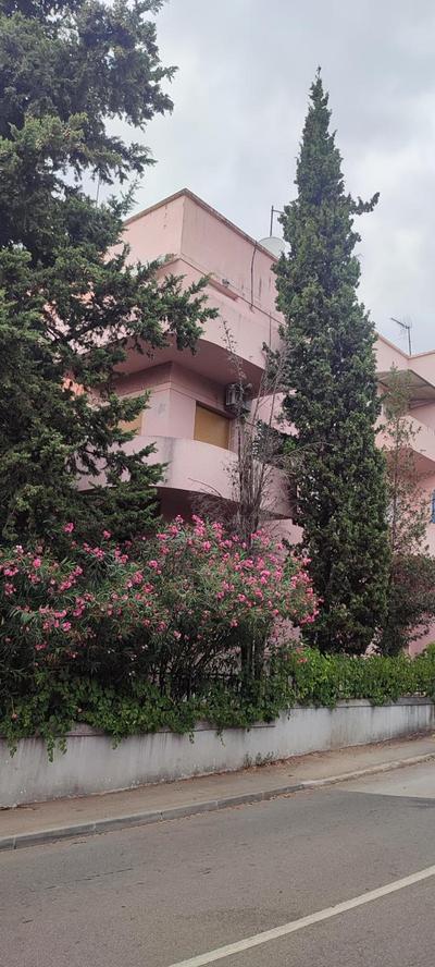 Apartment Palma