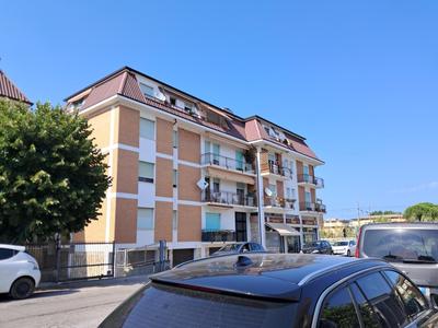 Roses house