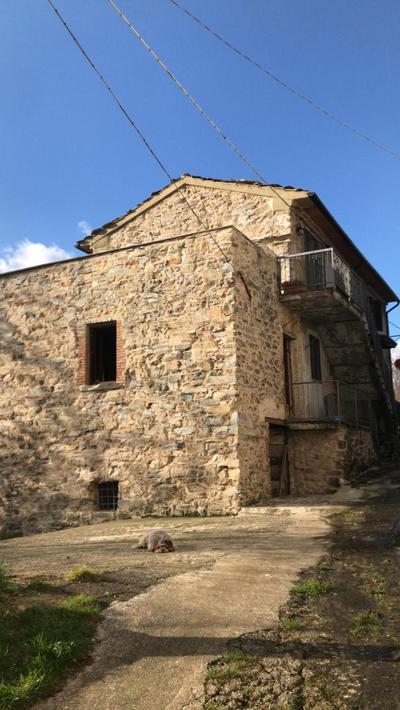 La casa del bosco