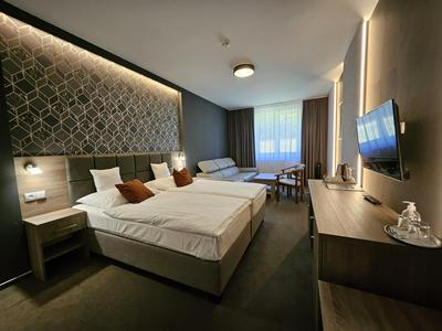 Hotel Slávia Svidník SPA & RESTAURANT