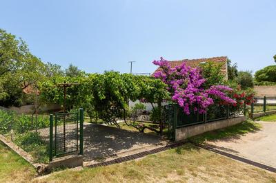 Casa Joy