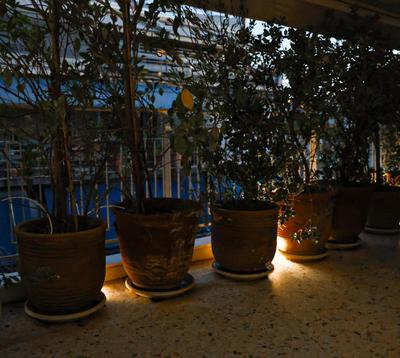 Central Athens hideaway, secluded garden oasis in Koukaki