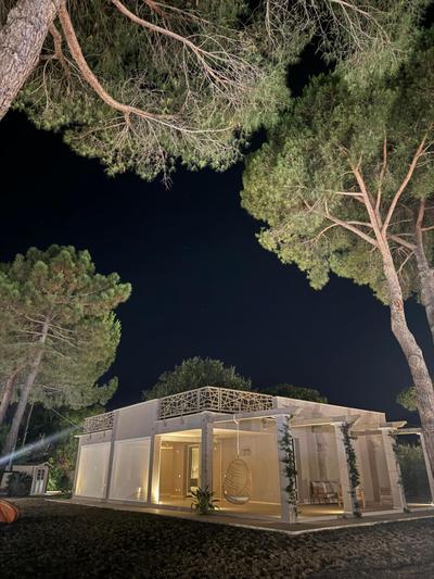 Lacona Cocoon
