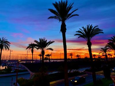 FRONTLINE APPARTEMENT Palmeras Puerto en Beach Torrevieja Centrum Boulevard Strand Haven