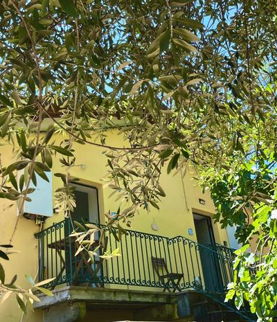 Casa Olive 53 Monte