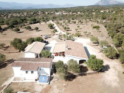 Agriturismo Sa Murta Dorgali