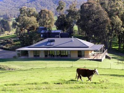 Jamieson Cow Grass Lodge
