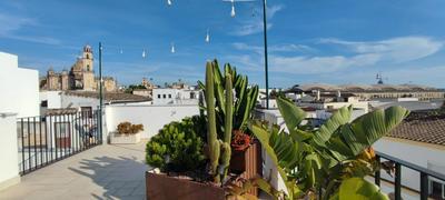 Palacio el Duende-Parking privado-terraza Vista Catedral old town